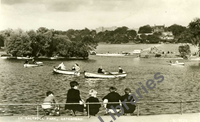 Saltwell Park Image Collection 